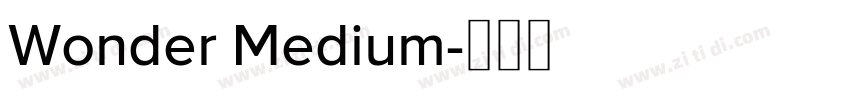 Wonder Medium字体转换